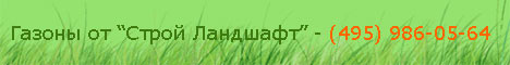 www.veststroi.ru - ������